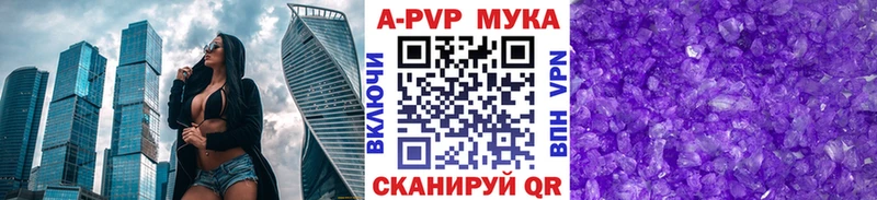Альфа ПВП СК КРИС  Цоци-Юрт 
