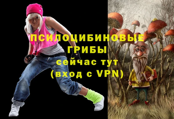 ГАЛЛЮЦИНОГЕННЫЕ ГРИБЫ Карпинск