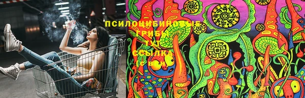 прущие крисы Алексеевка
