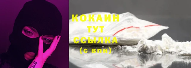 соль курить ск Алзамай